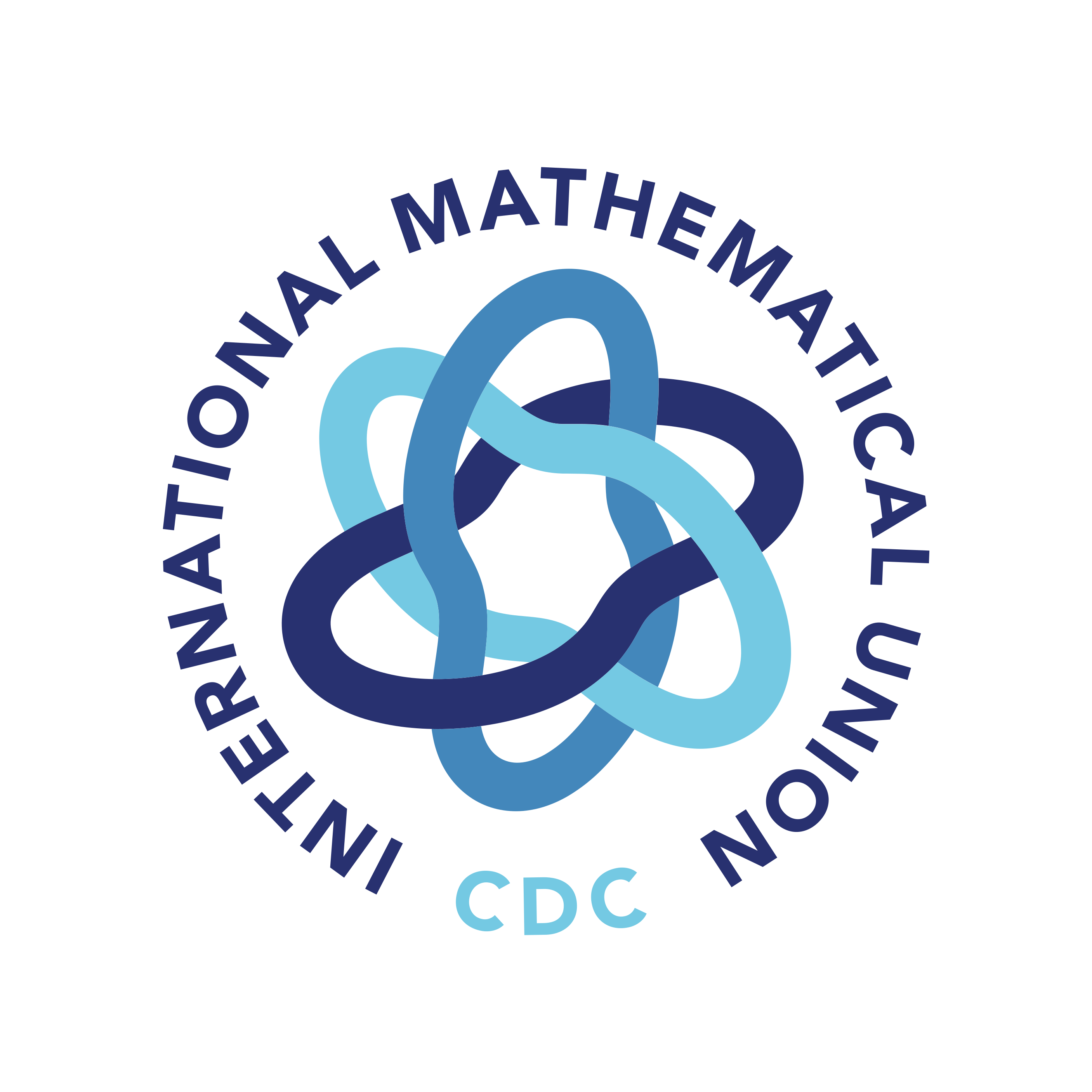 International Mathematical Union 